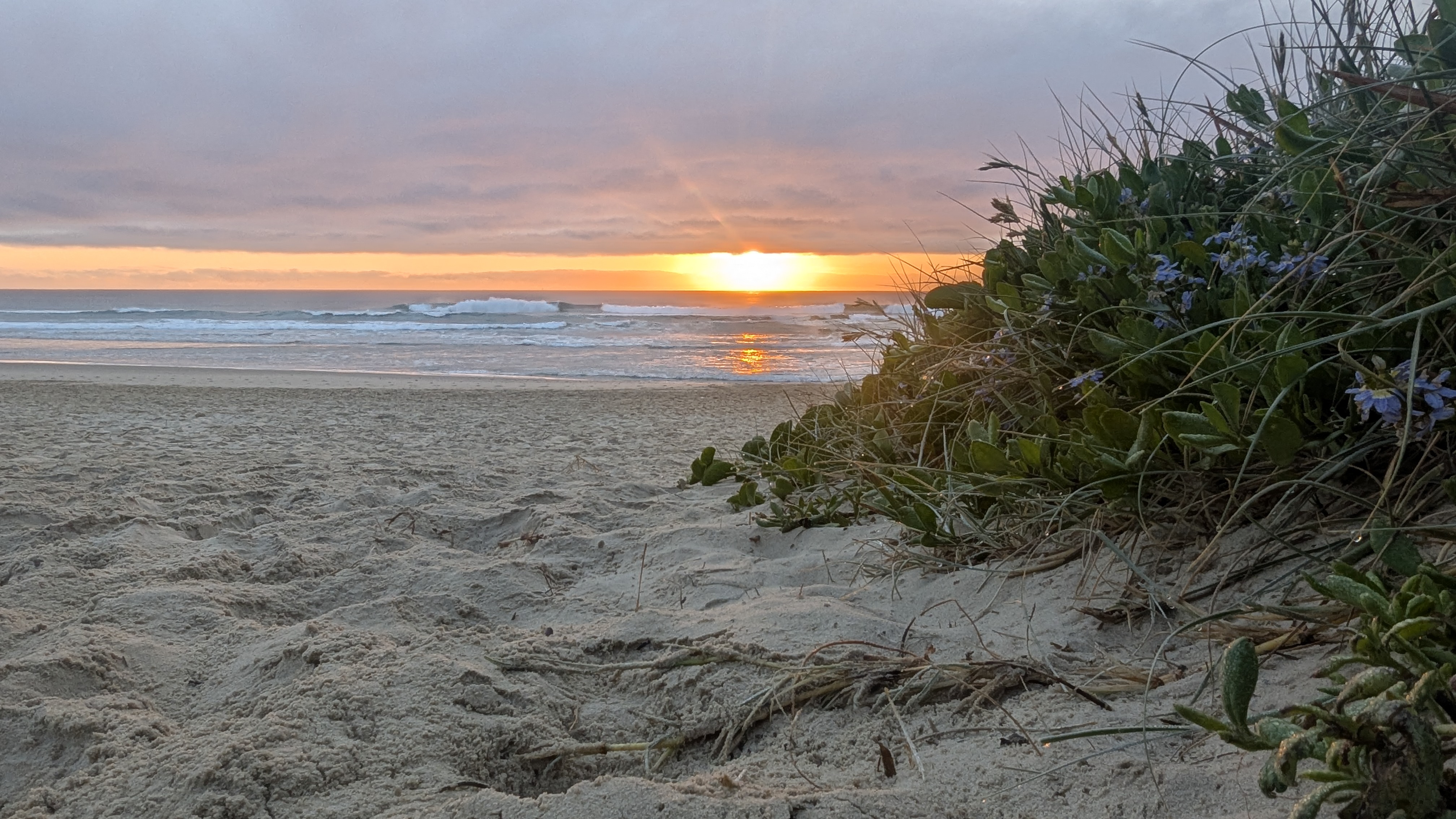 Sunrise over the ocean at Coolum beach, golden light on the water with coastal greenery in the foreground